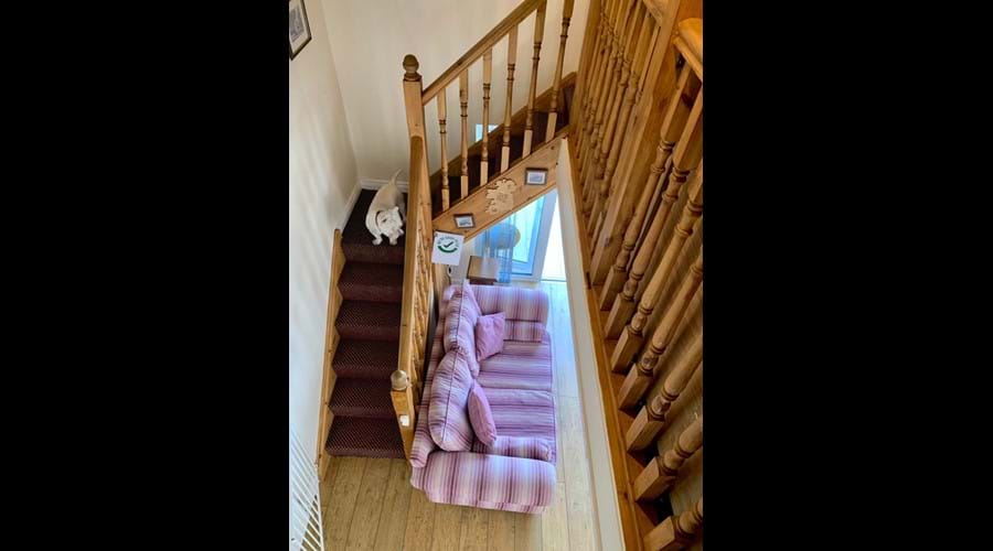 View from your family room above