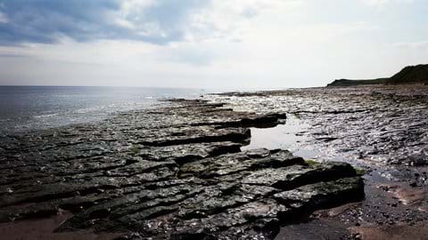 Historic rock formations along the Berwickshire coast
