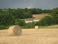 From the grounds of house