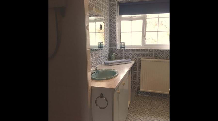 Vanity unit in family bathroom with large separate shower cubicle