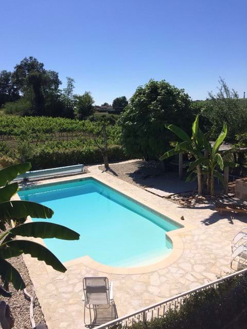 Beautiful Tranquil Pool surrounded by owners vines