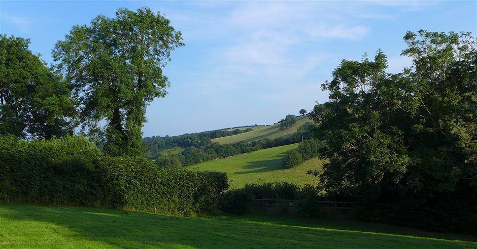 Holiday Cottage In Exmoor National Park Dogs Welcome Combe