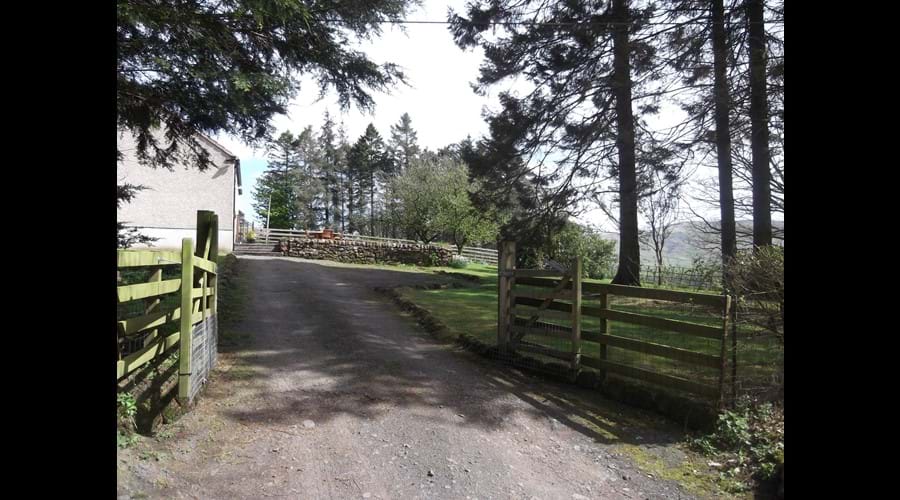 Driveway