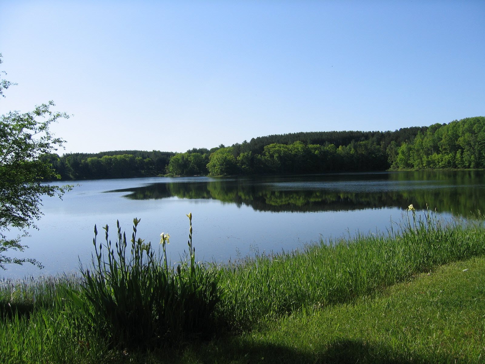 Lake View Lake - Lake Ann 