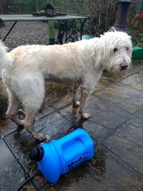 The Mud Daddy- available to use to wash your muddy paws!