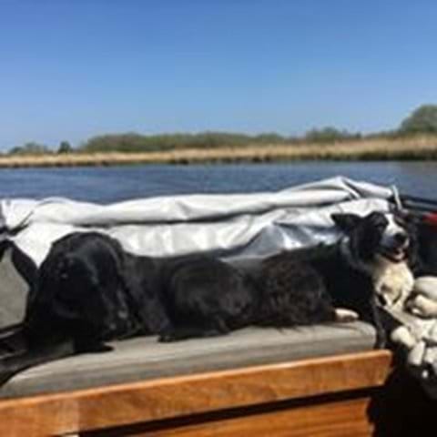 Taking the boat out for the day. All dog friendly too.