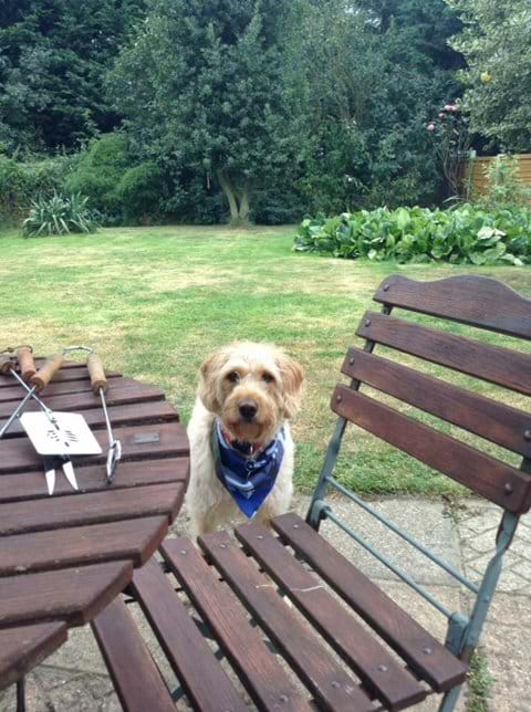 Boris loved the garden and barbecues!