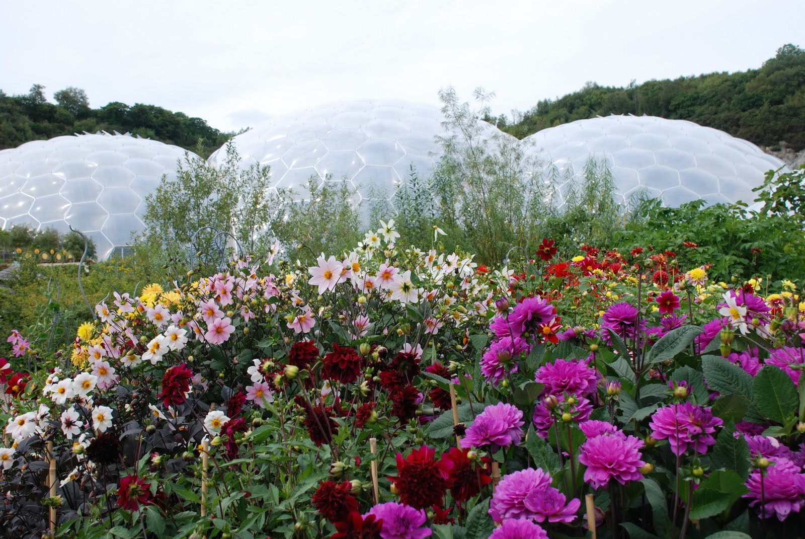 Eden Project