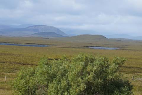 Sunny Sunday morning, July