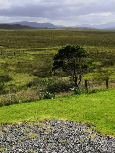 View from lounge window.