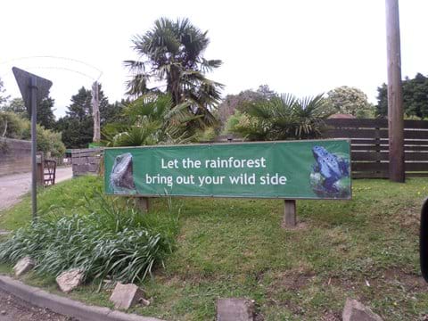 The Living Rainforest, Hampstead Norreys - 10 Minute Drive