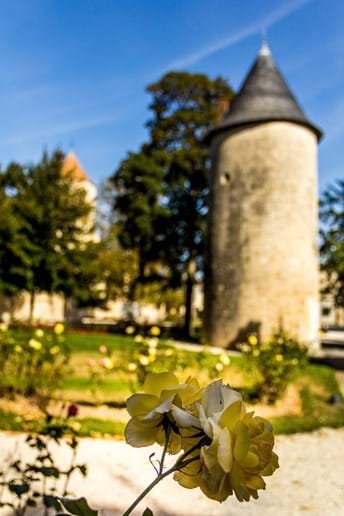 Flowers in the garden park area, of castle ground in Surgeres