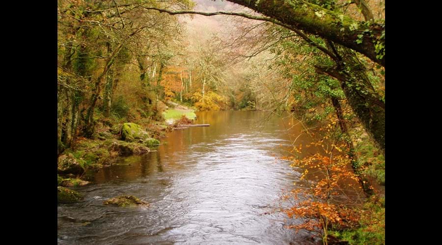 River Teign below Castle Drogo