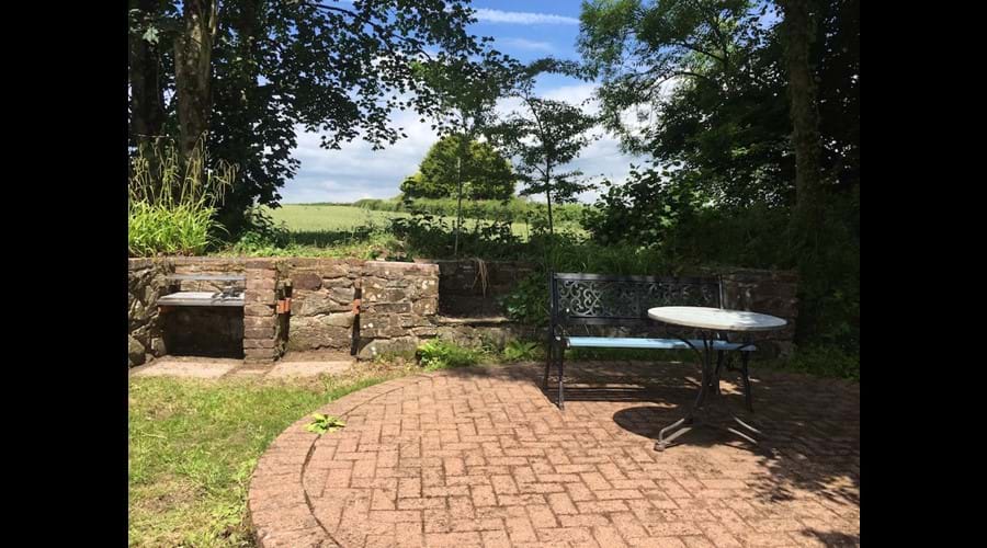 A corner of the garden