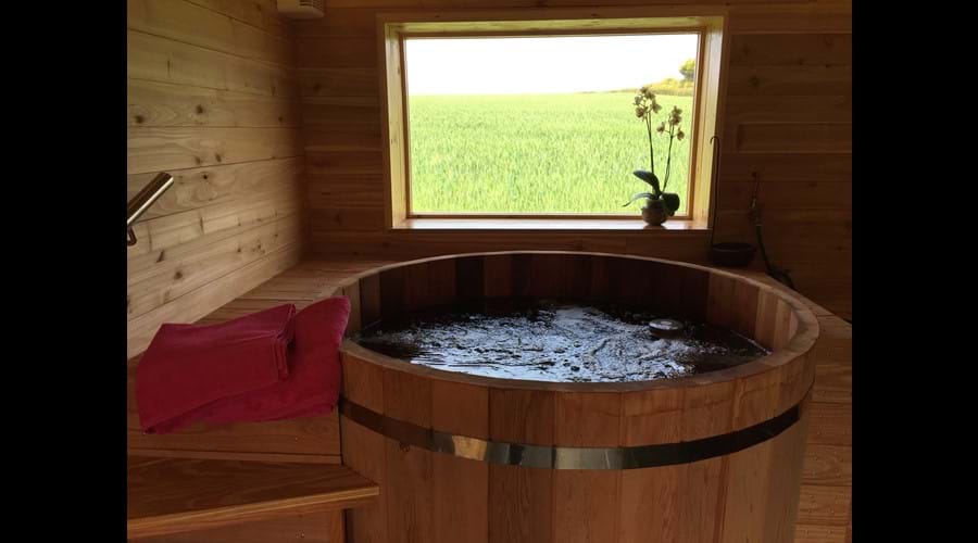 Cedar hot tub