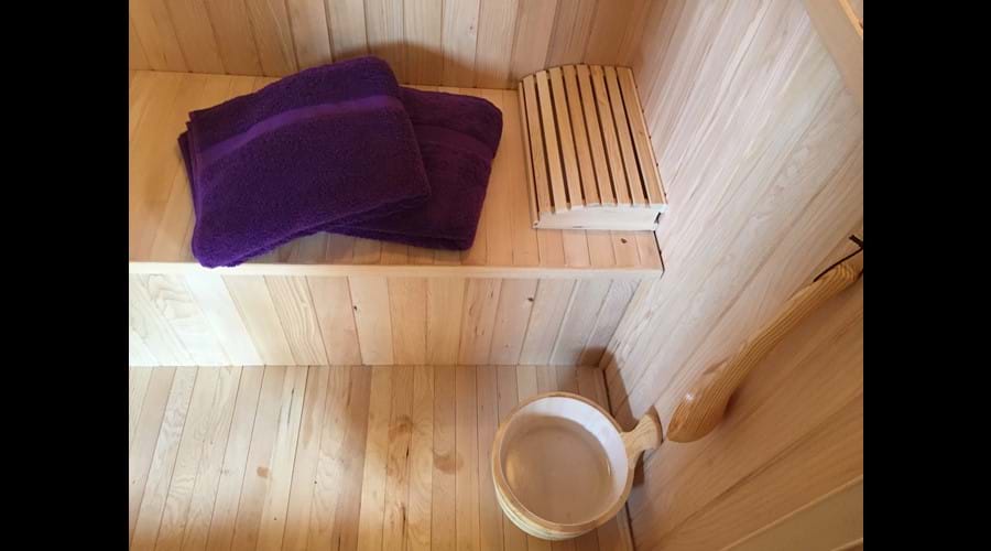 2 person sauna