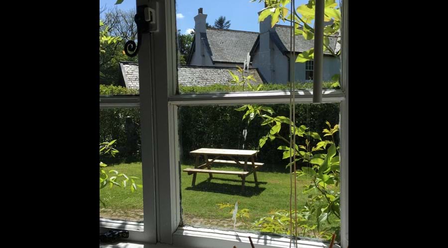 The Shippon garden