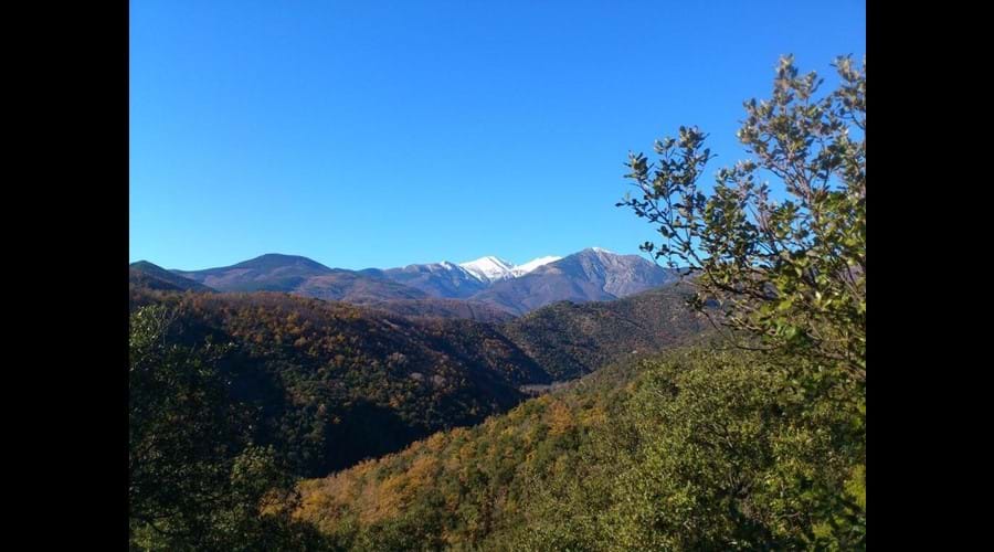 View of Mount Canigou from the top of Casa Sola's garden