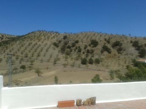 View from one of our Terraces.
