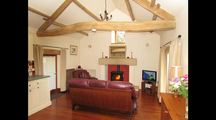 Comfortable living room with cosy wood burning stove