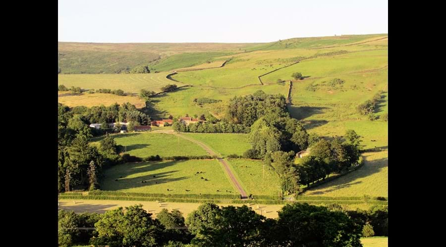 View of Low Crossett from across the valley