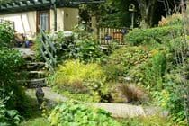 Cottage path over bridge and up steps