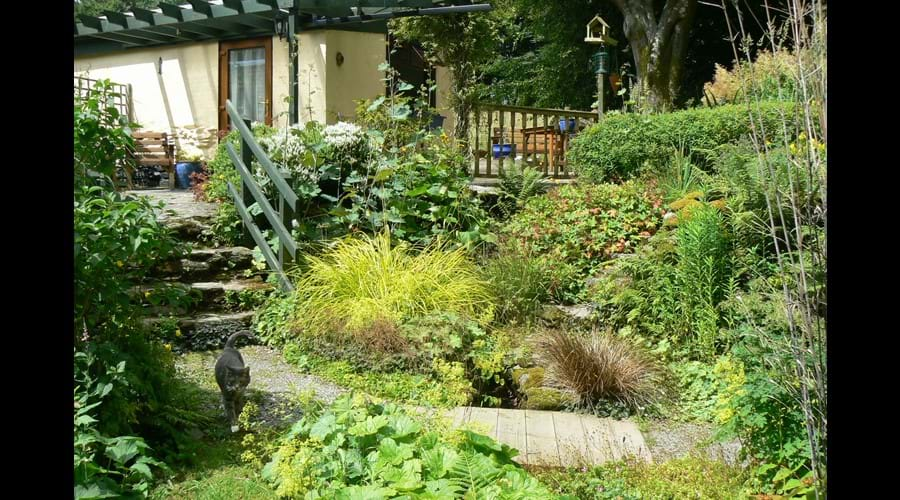 Cottage path over bridge and up steps