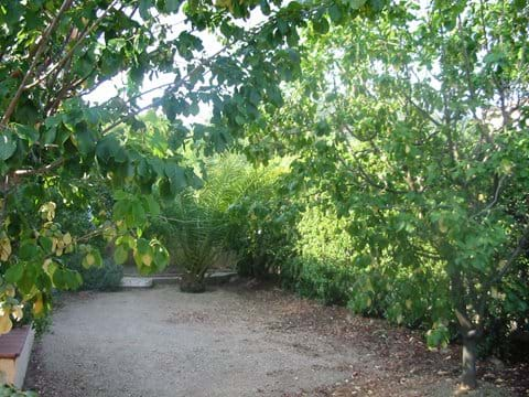 Le jardin de devant