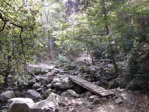 Tijdens een wandeling in het bos boven de villa