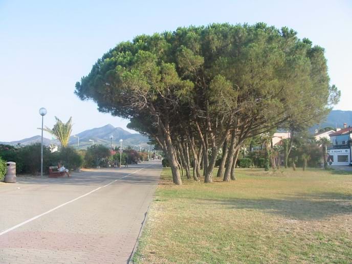Der Fußgängerzone neben dem Strand von Argelès sur Mer