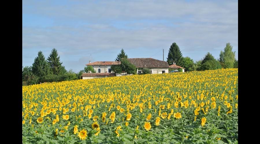 Chez Sarrazin farm - summer 2015