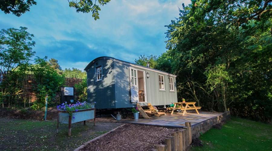 glamping, farm holiday, rural retreat, luxury camping, shepherds hut, bird watching, romantic break, short break close to London, shepherds hide, lakeside holiday