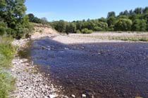 Relax down by the river