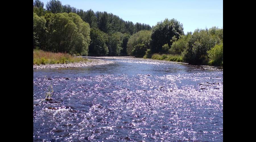 Relax down by the river