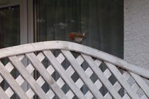 Lots of birds to spot
