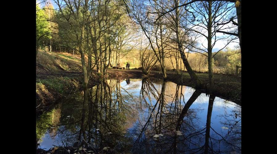 Wildlife pond down by the river