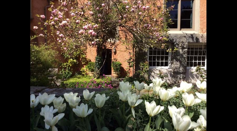 The terrace in the spring.