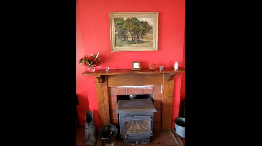 Wood burning stove