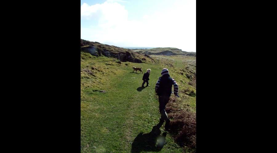 Dogs and kids run free