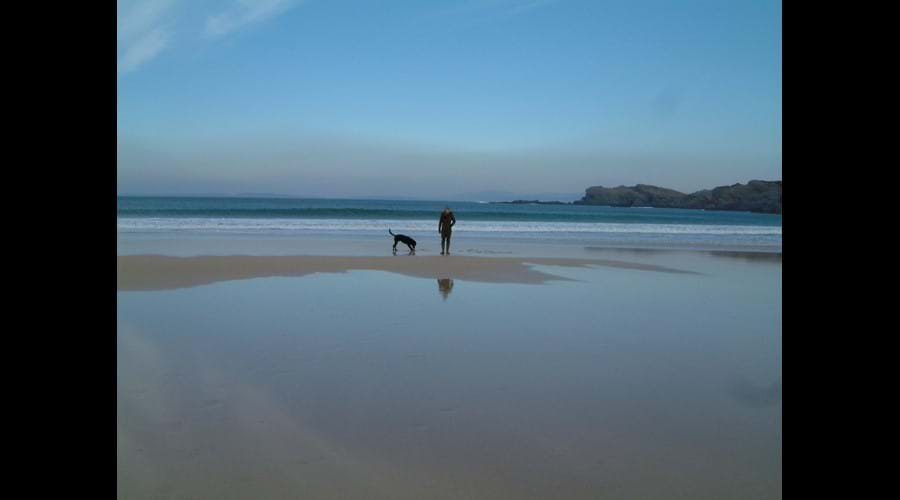 Dog walking in winter on Kiloran