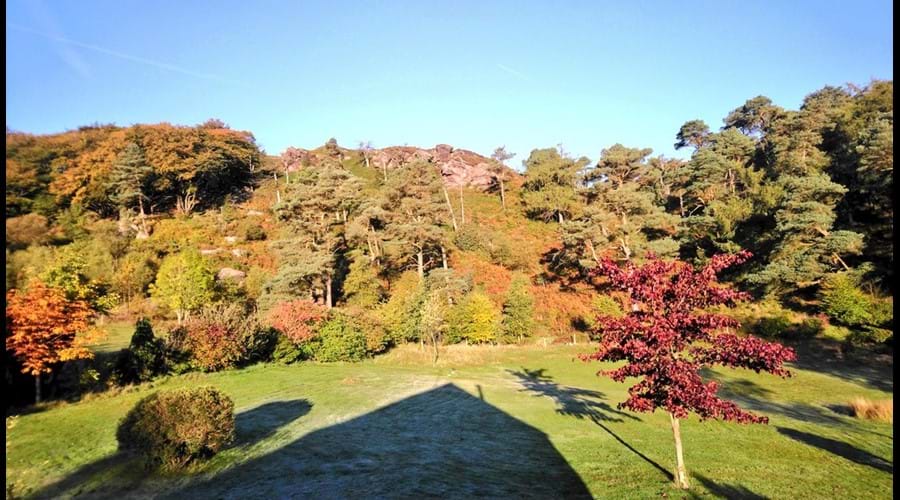 garden view
