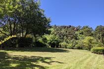 grassy garden, trees and blue sky