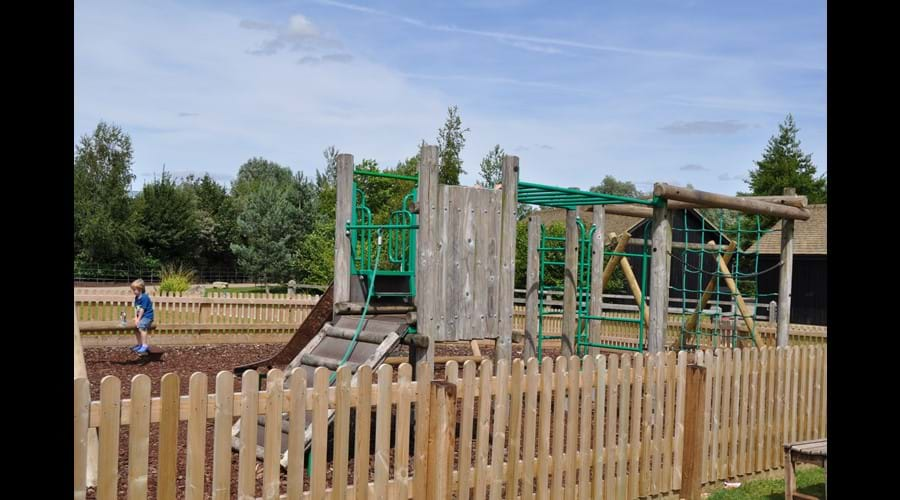 Play area