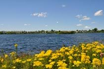 Somerford Lagoon