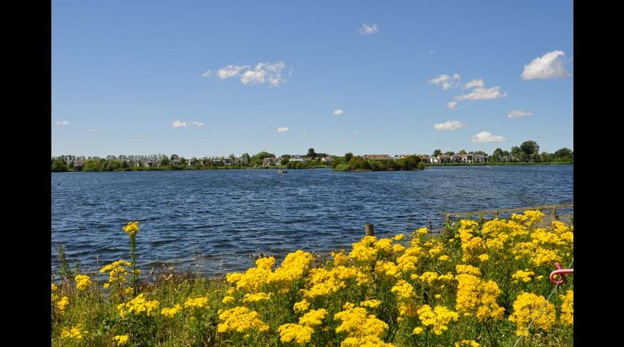 Somerford Lagoon