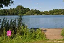 Swimming Pontoon