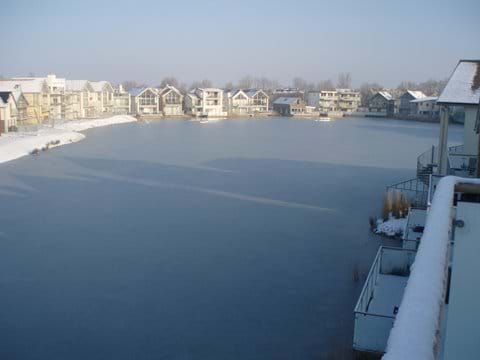 Howells Mere - frozen winter