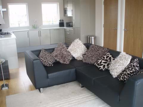 Lounge and kitchen area