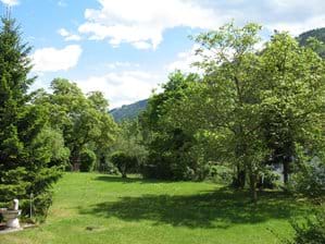 Large South Facing Garden