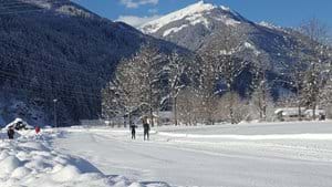 Cross Country Skiing January 2021